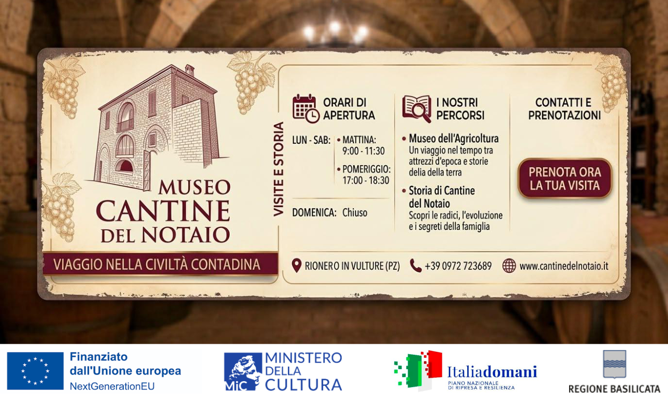 Museo Cantine del Notaio